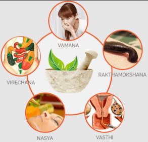 स्पेशलाइज्ड थेरेपी सेंटर बगीचा में आयुर्वेद चिकित्सक के कार्य हेतु आदेश, अनुपस्थित आयुष चिकित्सक को नोटिस पंचकर्म विशेषज्ञ की नियमित पदस्थापना का प्रस्ताव राज्य शासन को प्रेषित