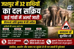 जशपुर के चार वन परिक्षेत्रों में 32 हाथियों का दल सक्रिय, कई गांवों में अलर्ट,डीएफओ ने की ग्रामीणों से सतर्क रहने की अपील